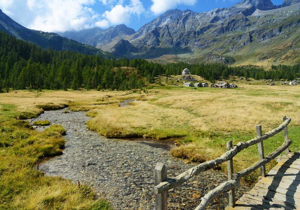 Alpi1